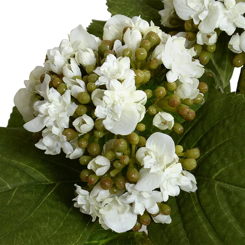Hydrangea Bud Arrangement 8"H