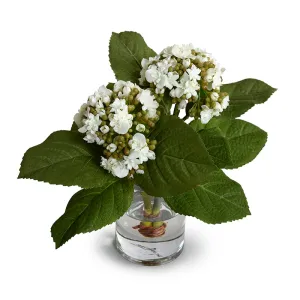 Hydrangea Bud Arrangement 8"H