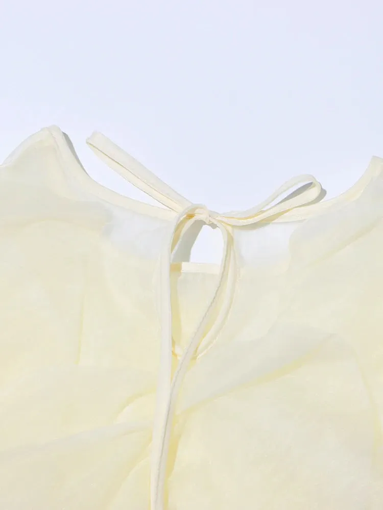 Pre Order:  Splicing Ruffle Edge Mesh Top