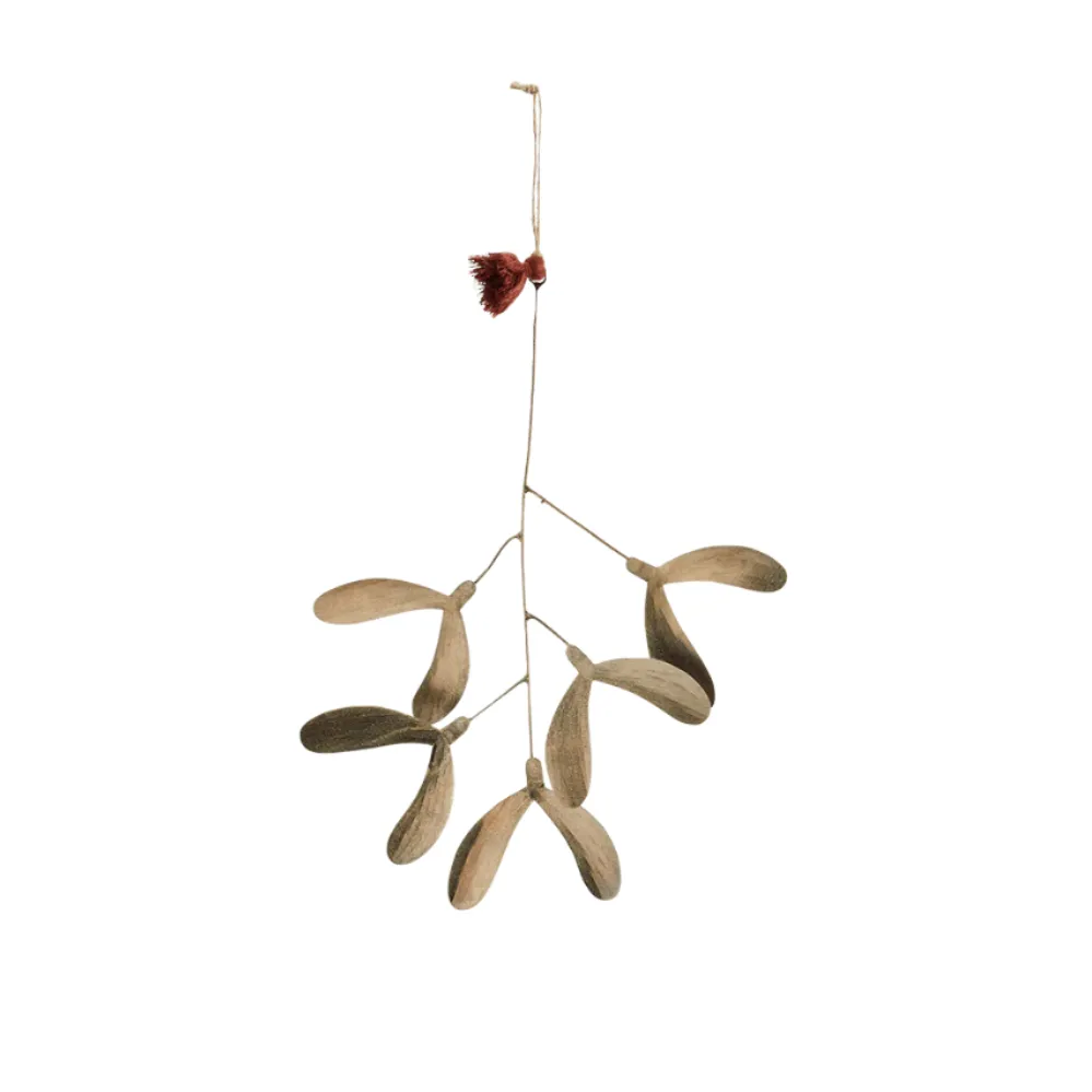 Small Iron Mistletoe