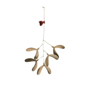 Small Iron Mistletoe