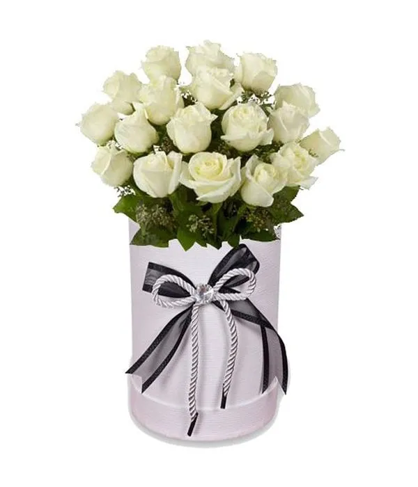 White and White  18 Roses